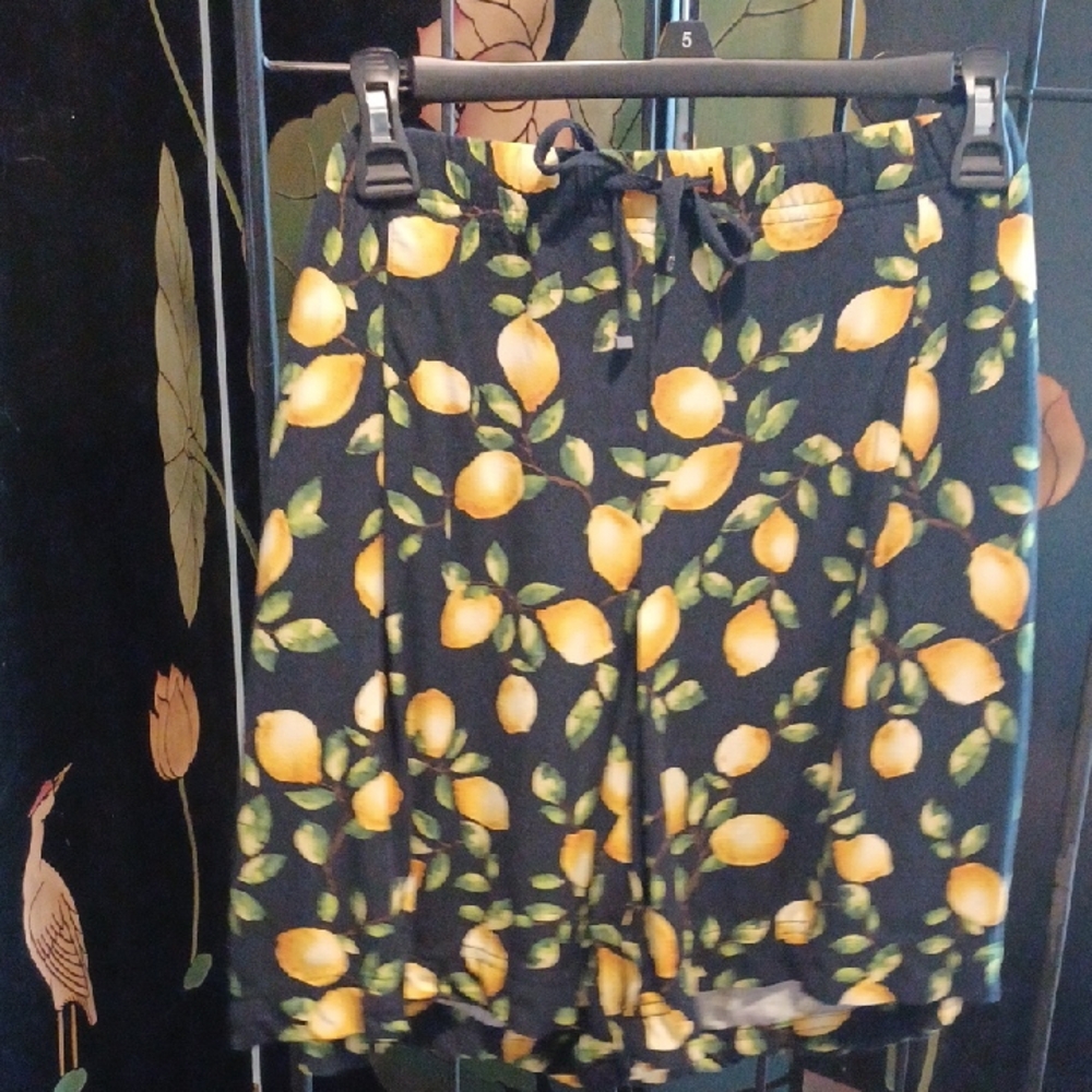 Nwt Lemon Print XL Navy Shorts By J.jill